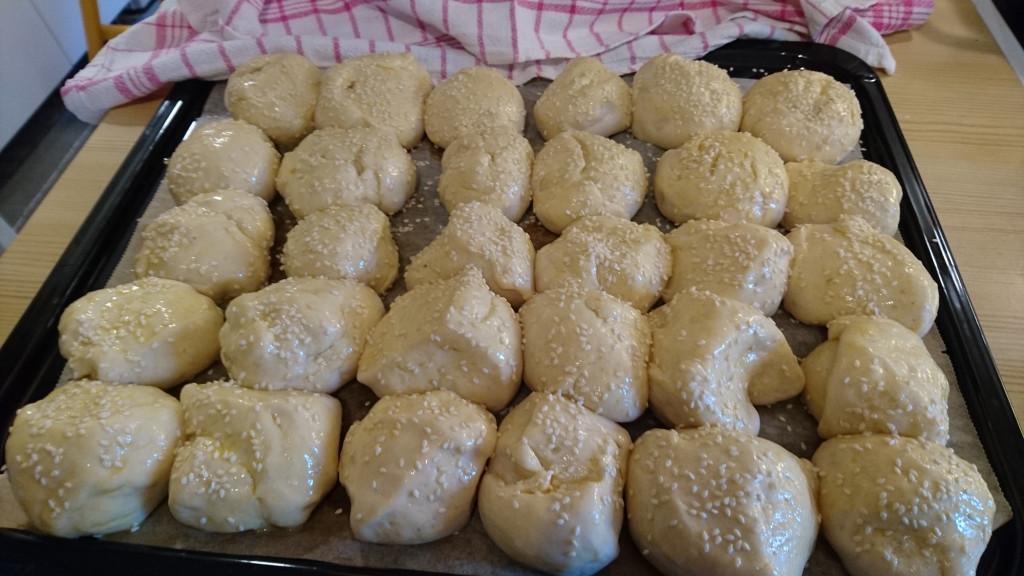 rosenbrod_2