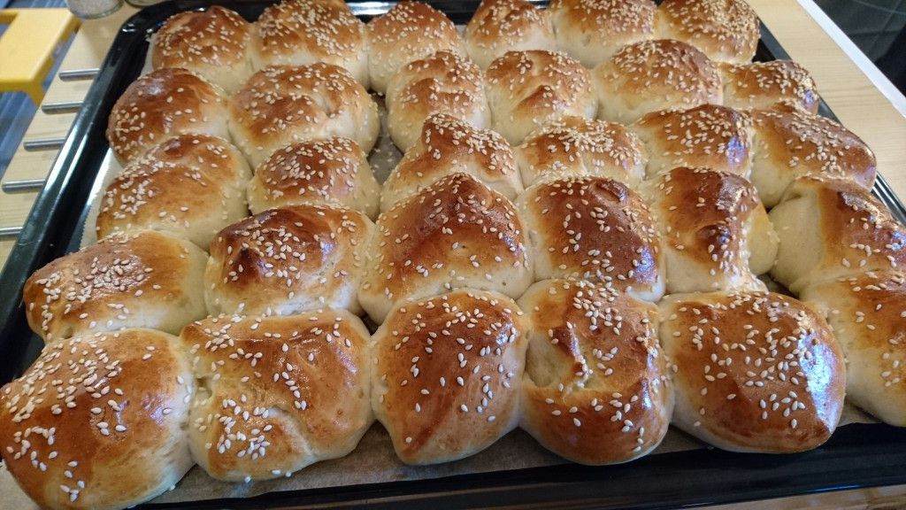 rosenbrod_3